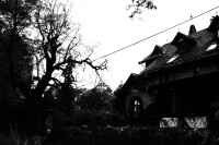 /album/www-pix-fx-de/bild-1413g-copy-2-jpg/